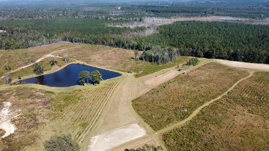 6875 Causeyville Clarke Road Meridian, MS 39301 - Photo 22 of 27 Photo 22