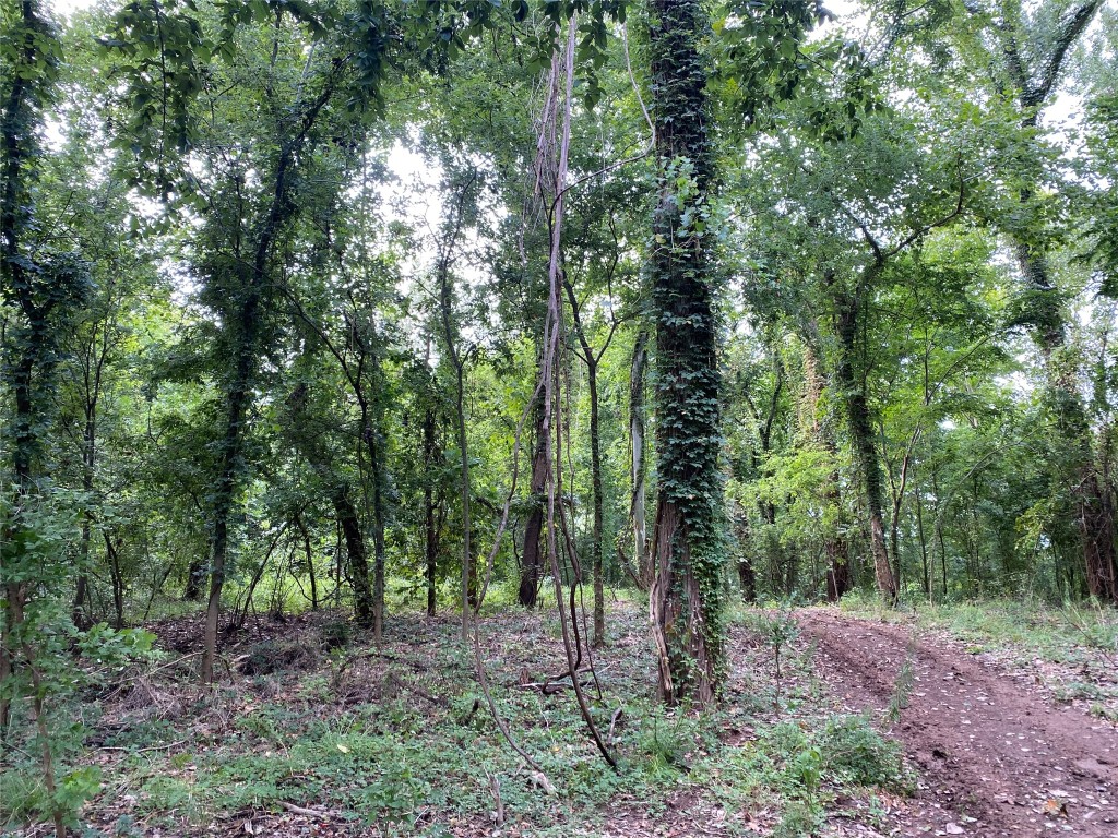 11810 Reinecker Road Wallis, TX 77485 - Photo 11 of 35 Nature at its best with an abundance of wildlife!