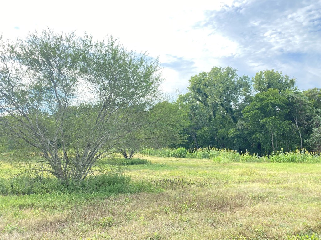 11810 Reinecker Road Wallis, TX 77485 - Photo 13 of 35