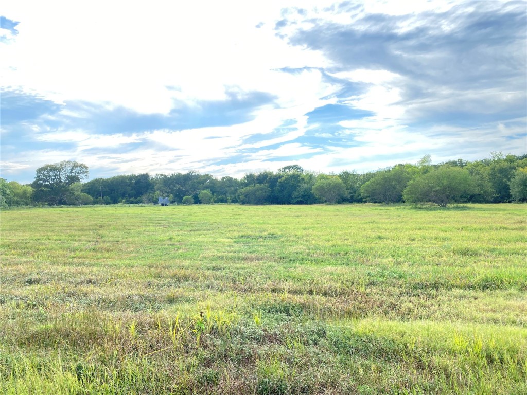 11810 Reinecker Road Wallis, TX 77485 - Photo 14 of 35 Ag exempt