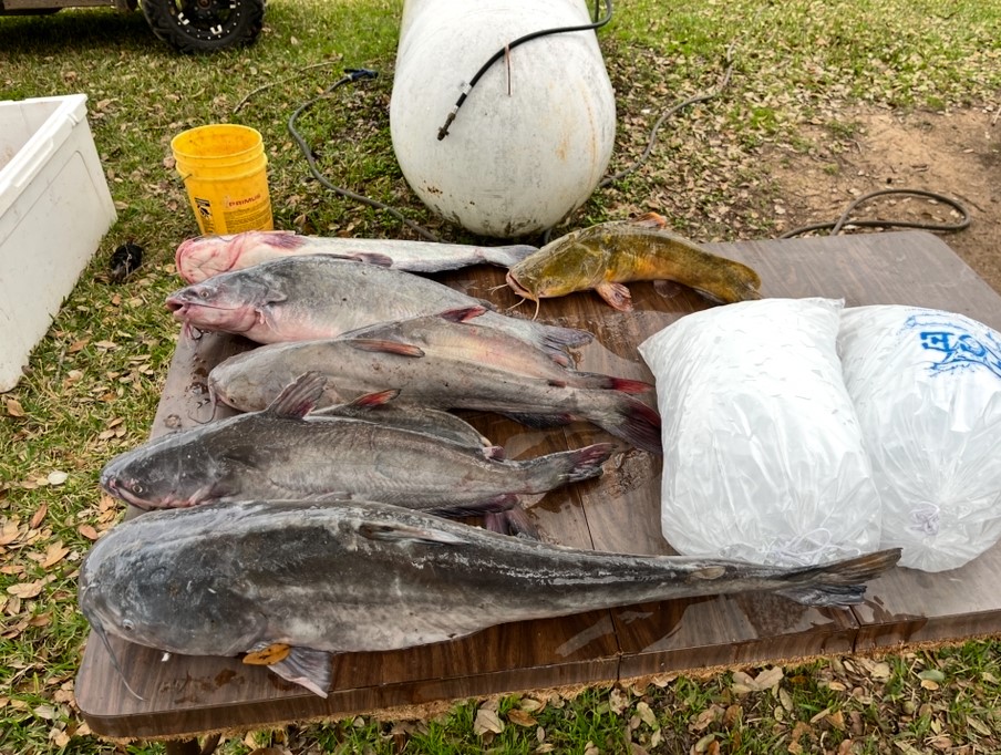 11810 Reinecker Road Wallis, TX 77485 - Photo 20 of 35 Catfish