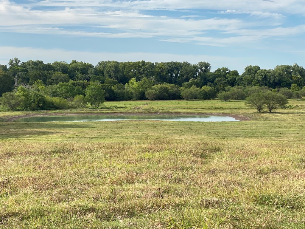 11810 Reinecker Road Wallis, TX 77485 - Photo 2 of 35 Stunning view of the private pond from the building site