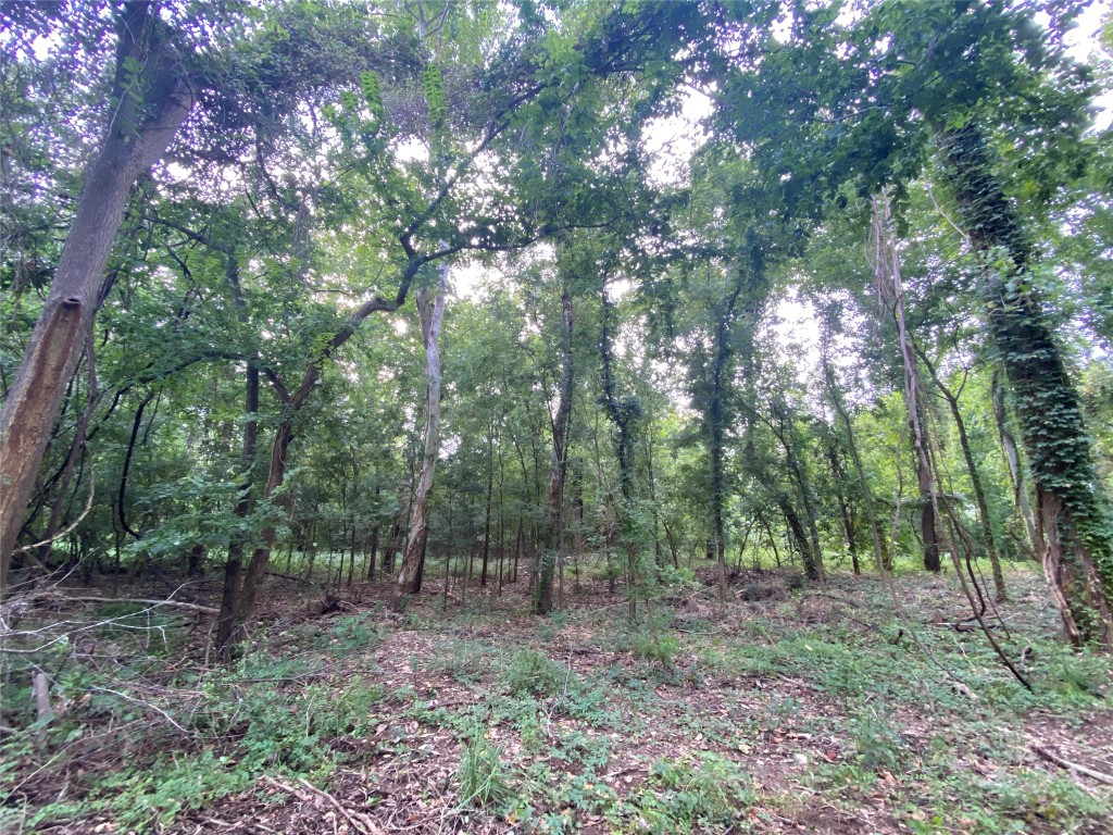 11810 Reinecker Road Wallis, TX 77485 - Photo 23 of 35