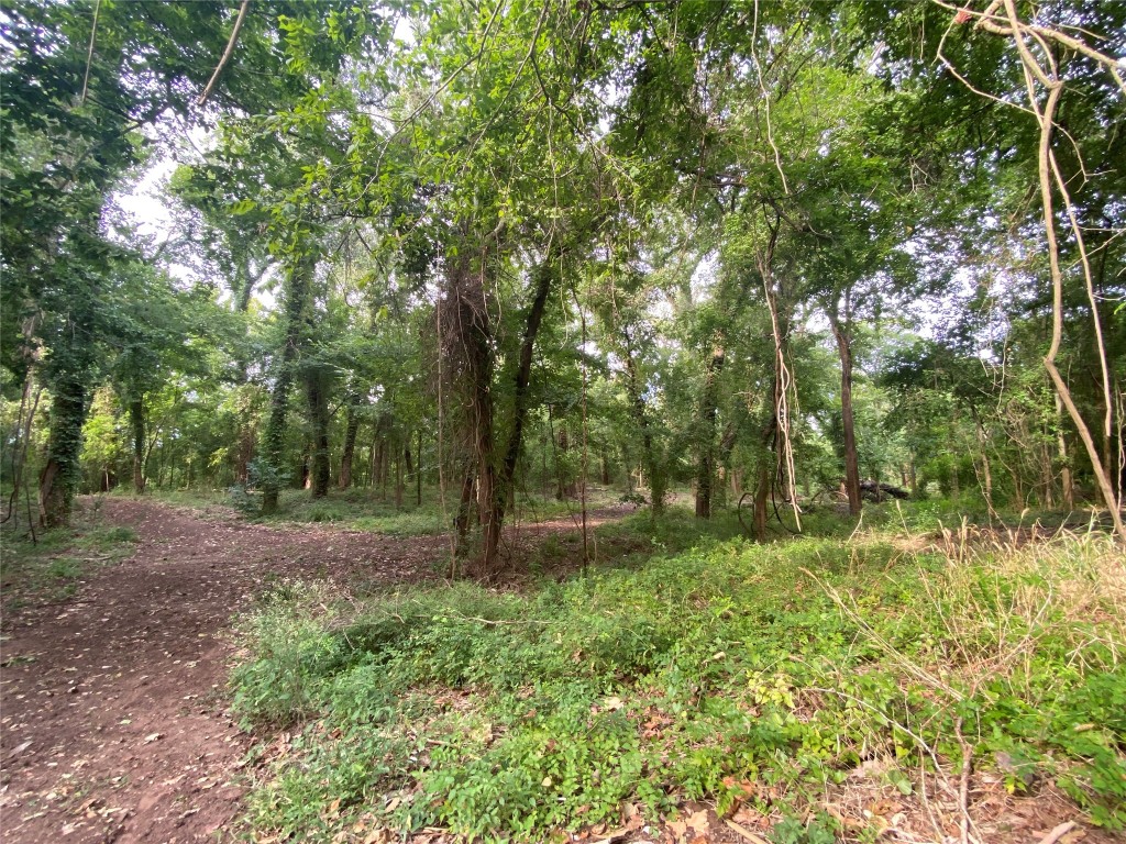 11810 Reinecker Road Wallis, TX 77485 - Photo 27 of 35 Nature lovers paradise!