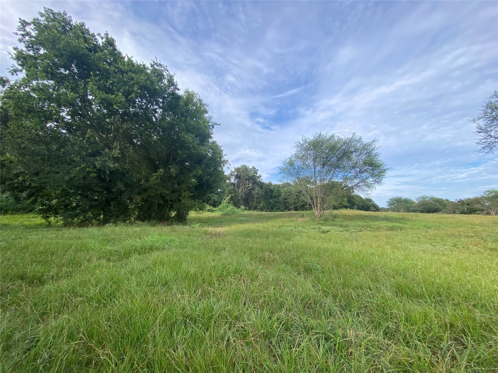 11810 Reinecker Road Wallis, TX 77485 - Photo 28 of 35 Open pasture. This property has it all!