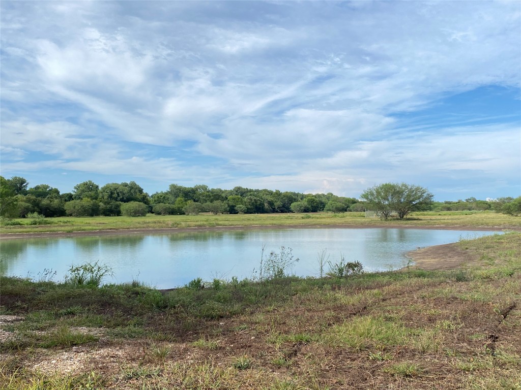 11810 Reinecker Road Wallis, TX 77485 - Photo 3 of 35 Approximate depth of the pond is 10-12 feet when full