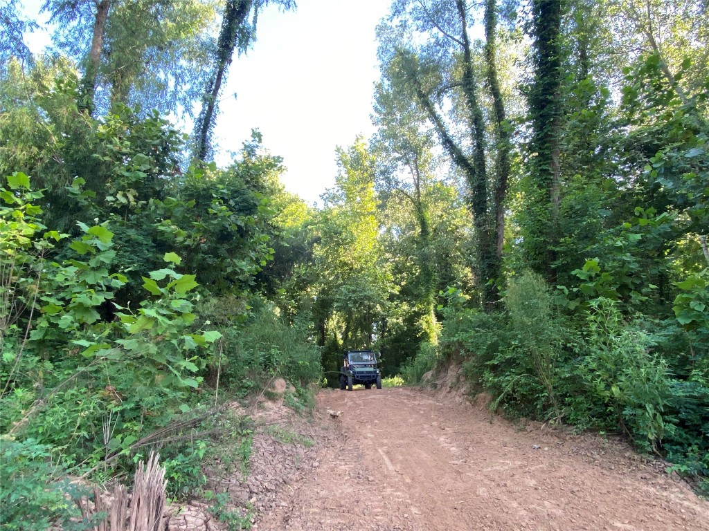 11810 Reinecker Road Wallis, TX 77485 - Photo 34 of 35