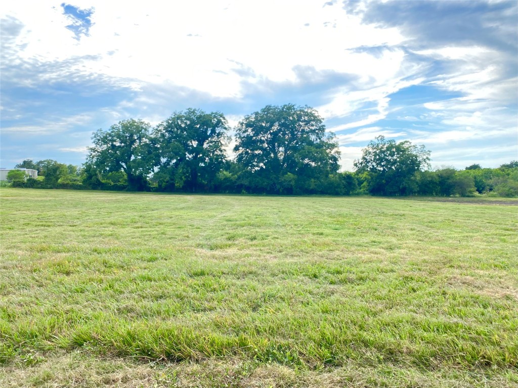 11810 Reinecker Road Wallis, TX 77485 - Photo 5 of 35 Pasture area
