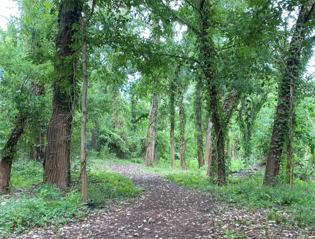 11810 Reinecker Road Wallis, TX 77485 - Photo 6 of 35 Your very own enchanted forest