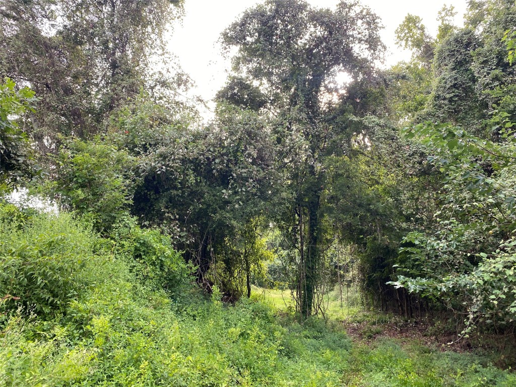 11810 Reinecker Road Wallis, TX 77485 - Photo 10 of 35