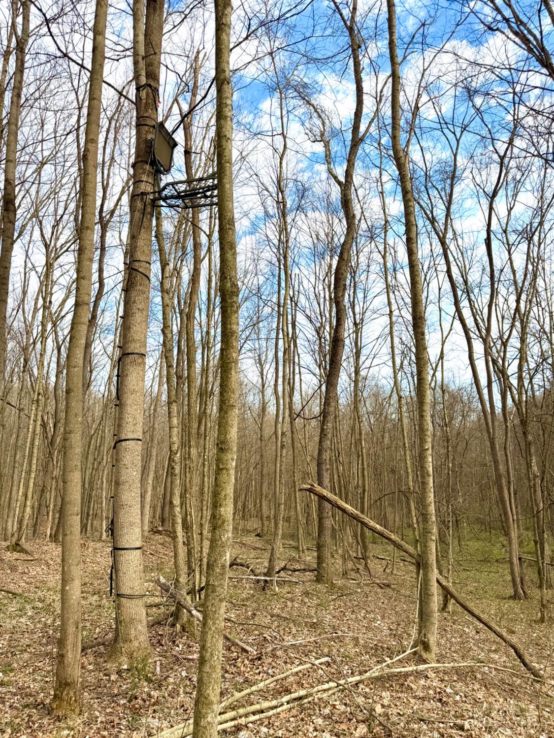 0 Fyffe Hollow Road Chillicothe, OH 45601 - Photo 17 of 96