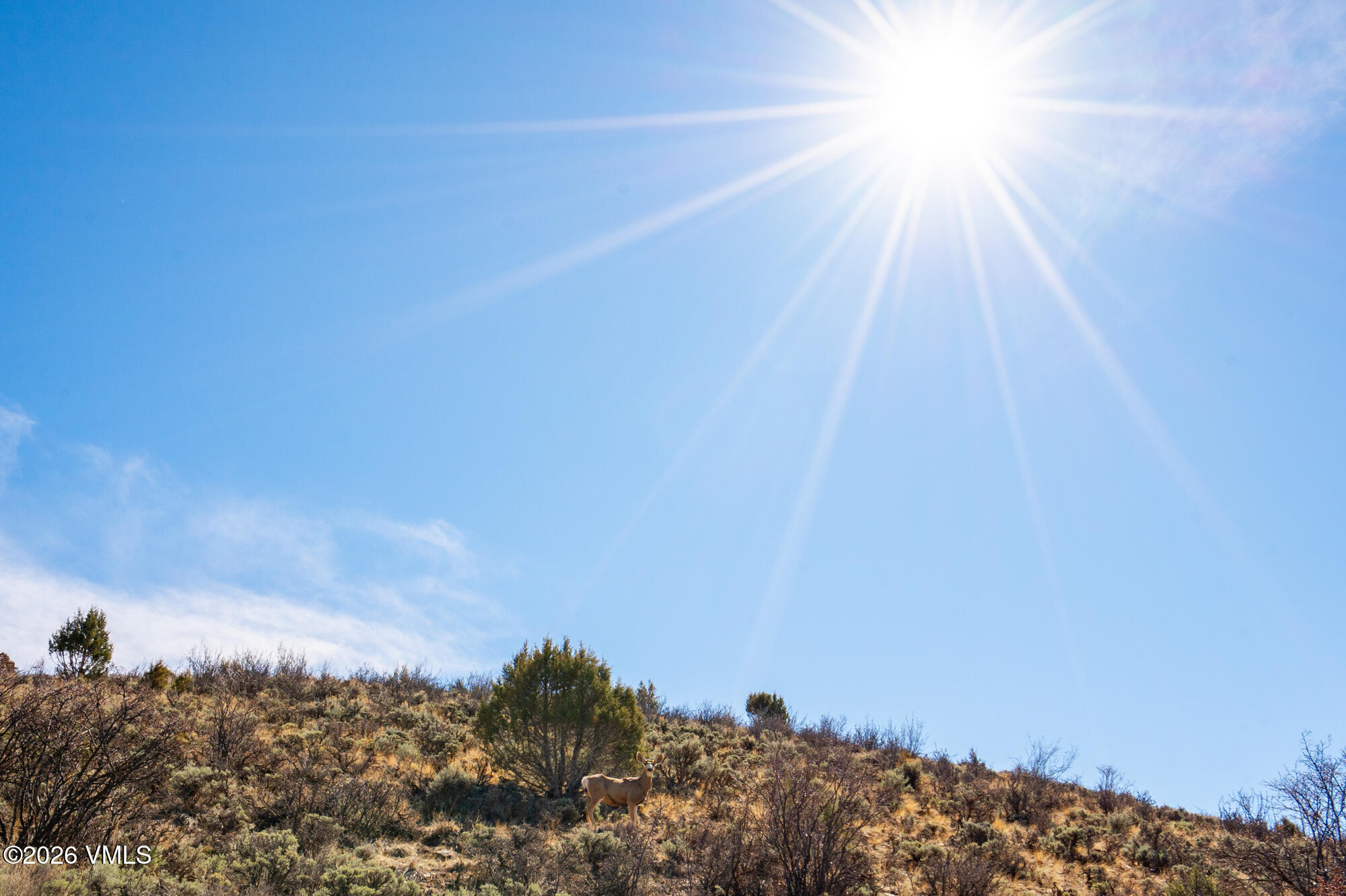 781 June Creek Road, Unit S Edwards, CO 81632 - Photo 42 of 50 DSC02989