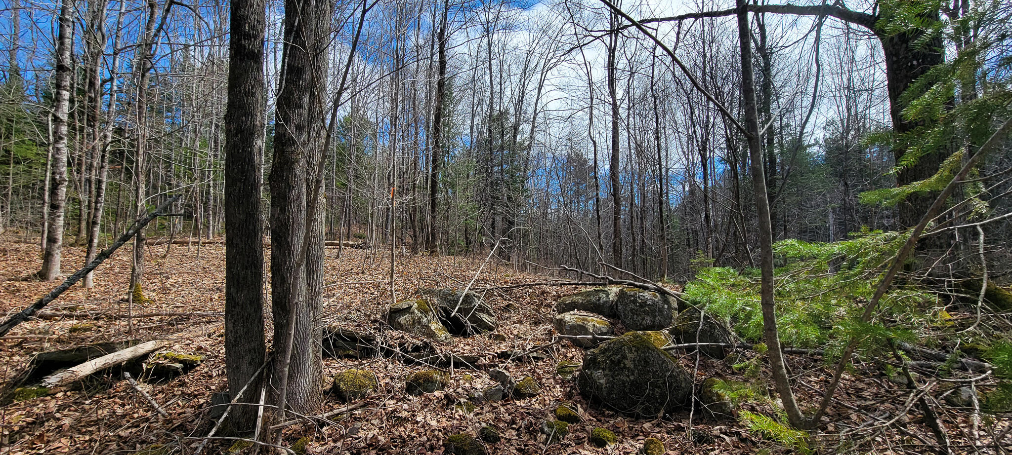 0 Borough Road Dover-Foxcroft, ME 04426 - Photo 1 of 26 20230420_113005