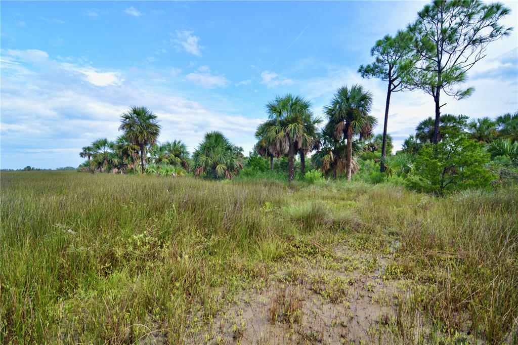 0 Lots 18 19 Adams Beach Road Perry, FL 32348 - Photo 3 of 25