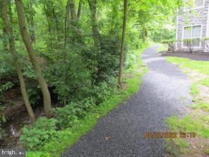 39 Mulberry Court Hamilton, NJ 08619 - Photo 22 of 24 a view of a yard with plants and large trees