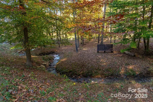 a view of a dry yard