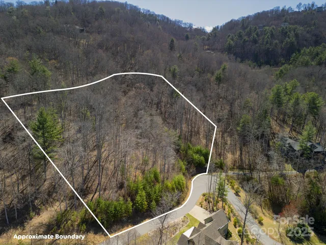 a view of a dry yard with mountain