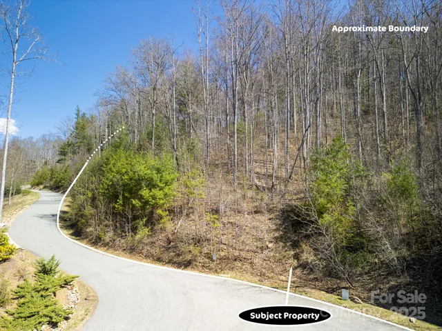 a view of a yard with trees