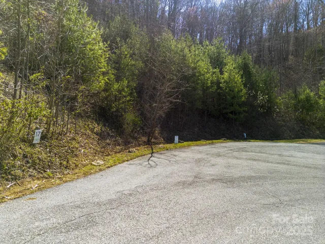 a view of a green field with lots of bushes