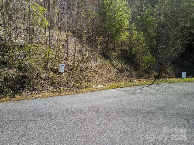 a view of a large yard with lots of green space