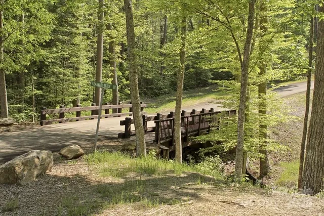 a view of a garden with a tree