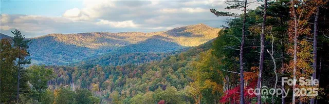 a view of a park with large trees