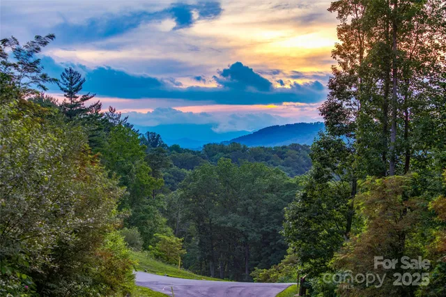 a wooden bench sitting in the middle of a forest