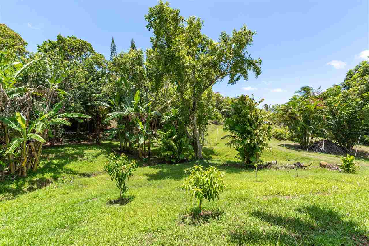 350 Hoolawa Road Haiku, HI 96708 - Photo 1 of 23 a view of yard