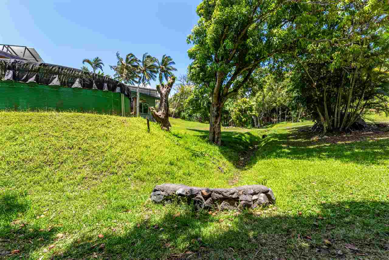 350 Hoolawa Road Haiku, HI 96708 - Photo 16 of 23 a view of a garden with a tree