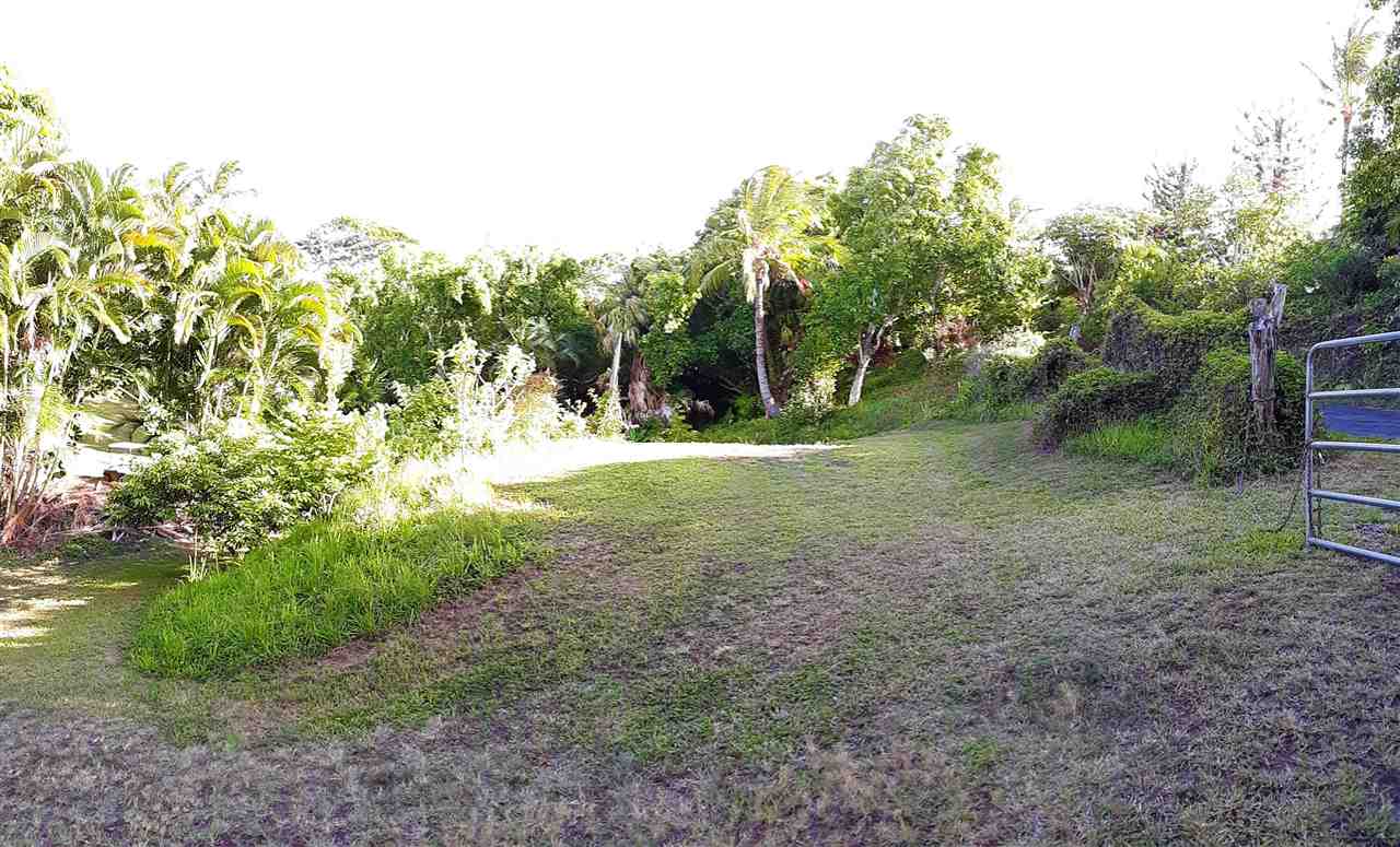 350 Hoolawa Road Haiku, HI 96708 - Photo 18 of 23 a view of outdoor space with trees all around