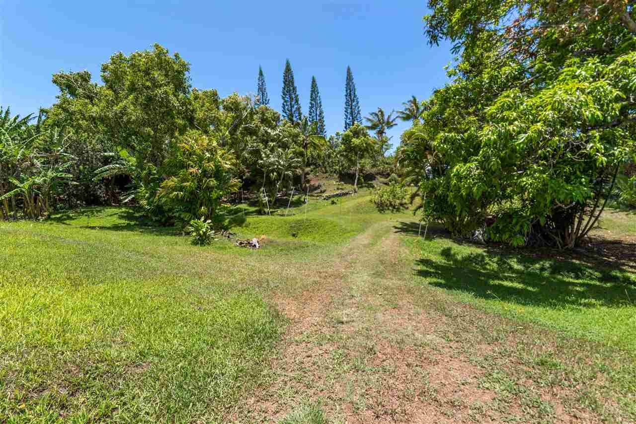 350 Hoolawa Road Haiku, HI 96708 - Photo 19 of 23 a view of a yard with plants and a bench