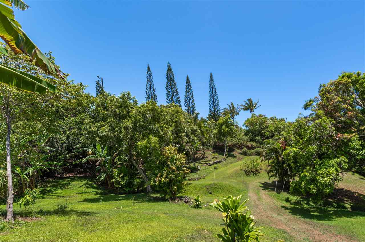 350 Hoolawa Road Haiku, HI 96708 - Photo 20 of 23 a view of a garden with large trees