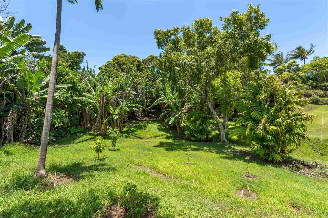 350 Hoolawa Road Haiku, HI 96708 - Photo 21 of 23 a backyard of a house with lots of green space