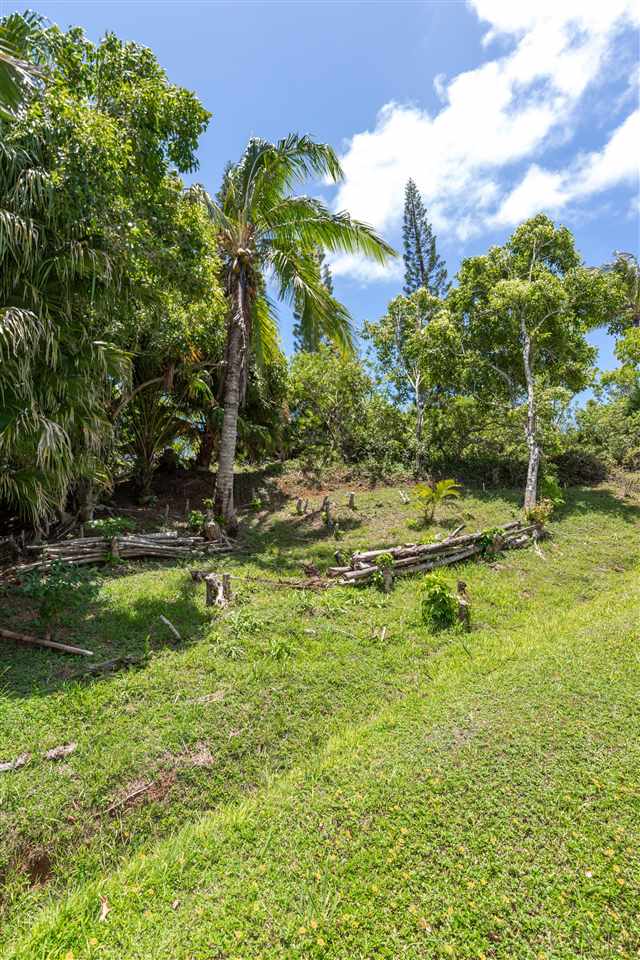 350 Hoolawa Road Haiku, HI 96708 - Photo 22 of 23 a view of a yard
