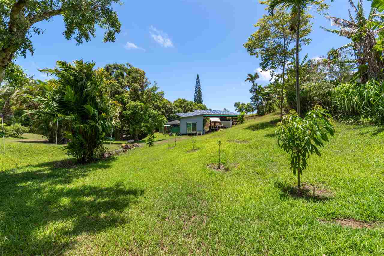 350 Hoolawa Road Haiku, HI 96708 - Photo 3 of 23 a view of a garden with a tree