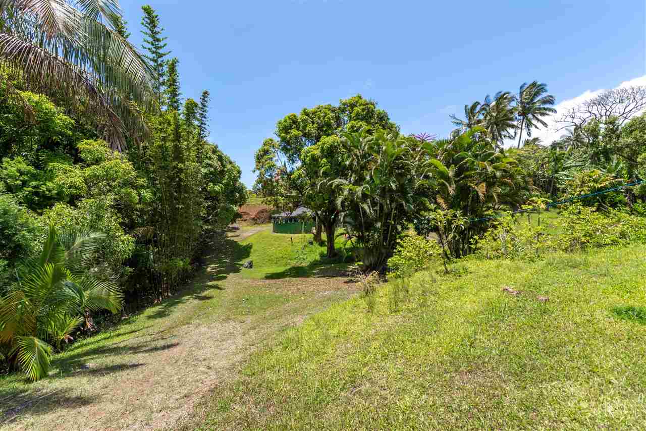 350 Hoolawa Road Haiku, HI 96708 - Photo 4 of 23 a backyard of a house with lots of green space