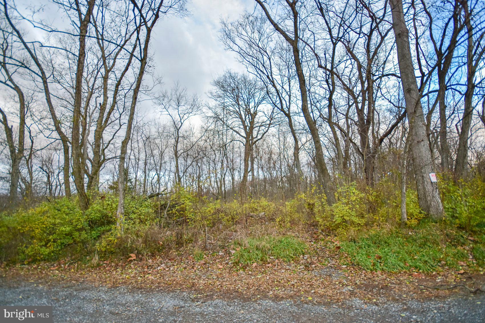 Lot 2 Goldmiller Road Bunker Hill, WV 25413 - Photo 40 of 44 Gallery Image 40