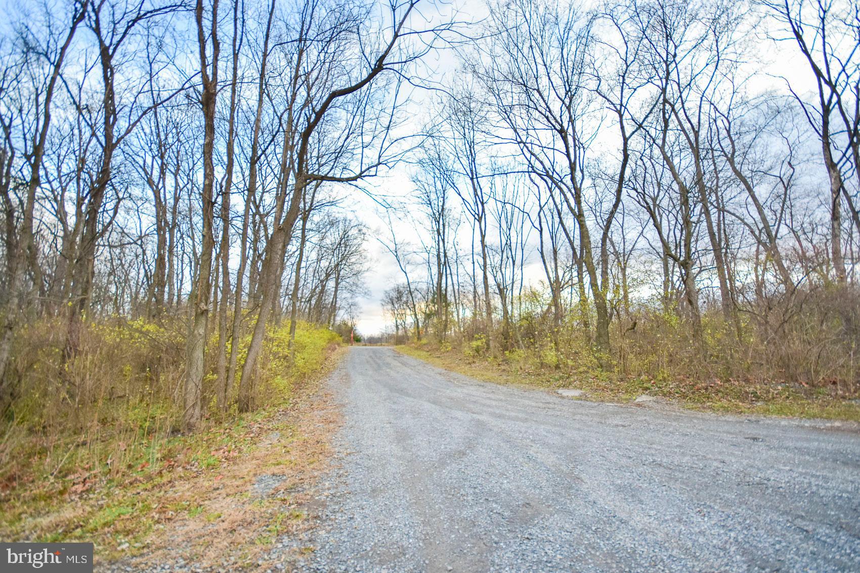 Lot 2 Goldmiller Road Bunker Hill, WV 25413 - Photo 41 of 44 Gallery Image 41