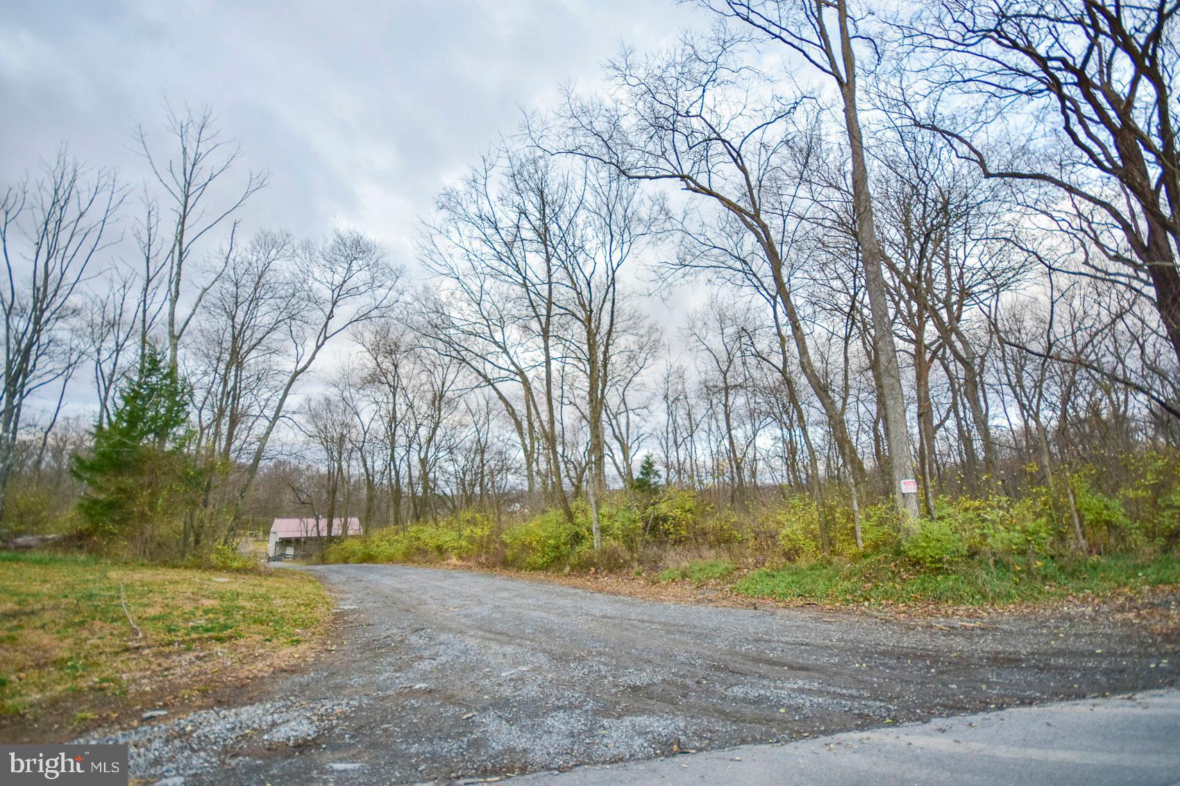Lot 2 Goldmiller Road Bunker Hill, WV 25413 - Photo 8 of 44 Gallery Image 8