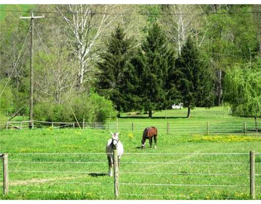 750 Delphene Road Holbrook, PA 15341 - Photo 11 of 15 Land.