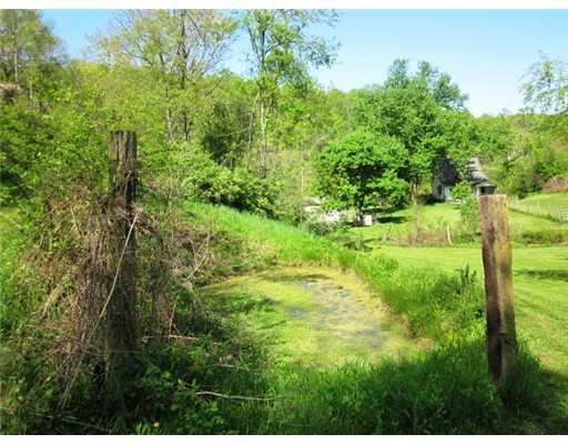 750 Delphene Road Holbrook, PA 15341 - Photo 8 of 15 View. Pond