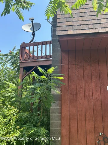 a view of a backyard with plants