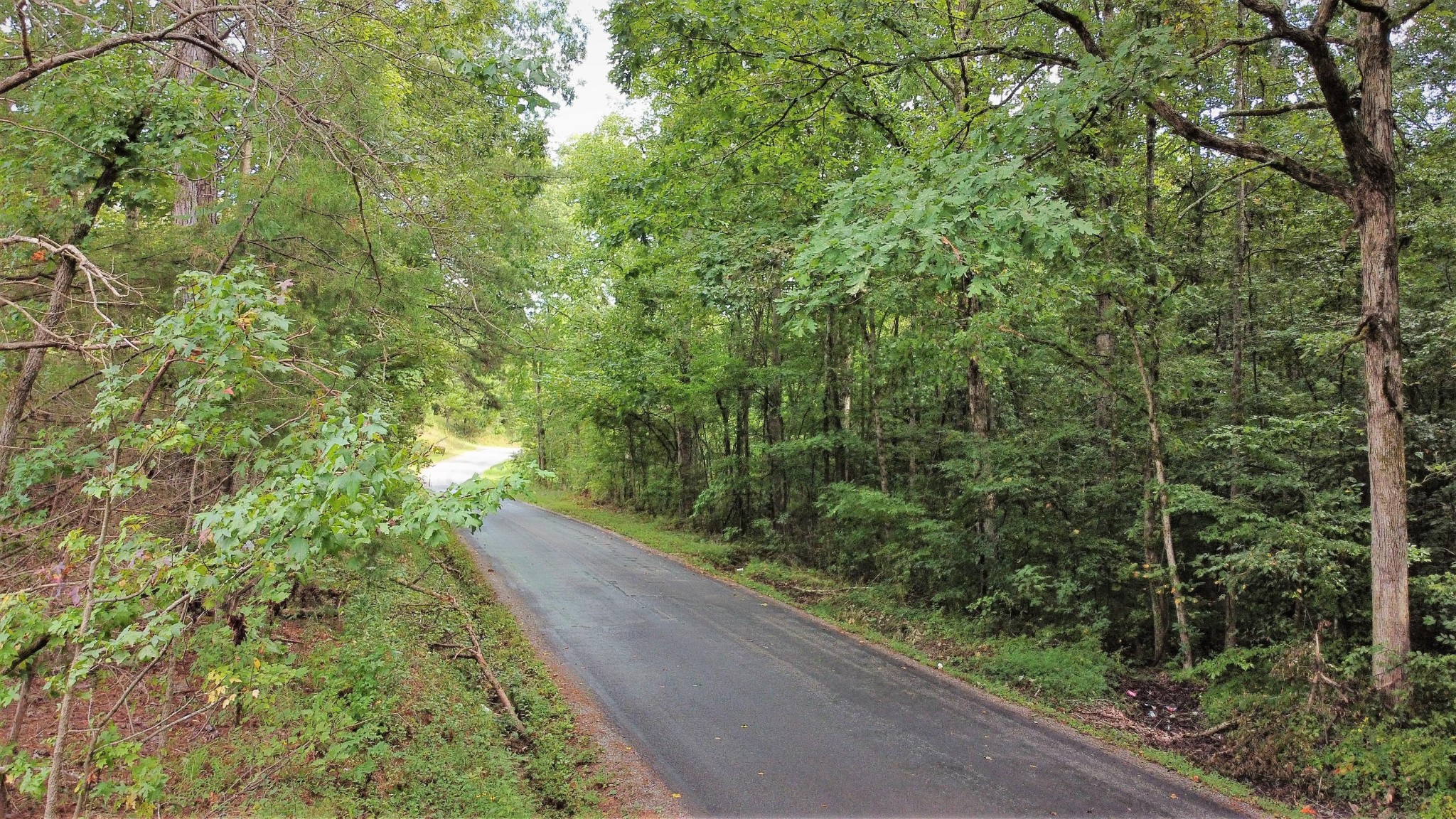 38 Plank Road Decatur, TN 37322 - Photo 3 of 7