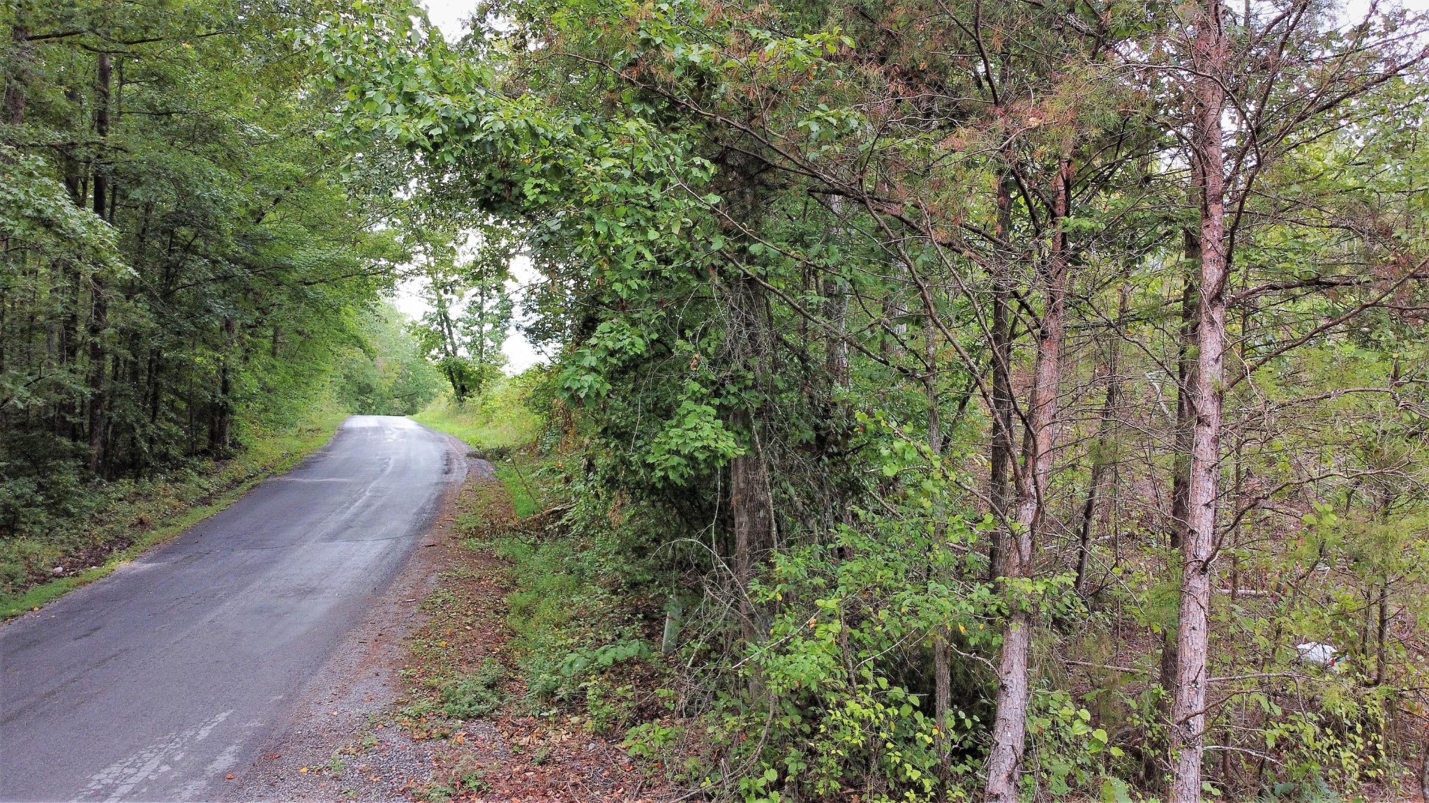 38 Plank Road Decatur, TN 37322 - Photo 4 of 7