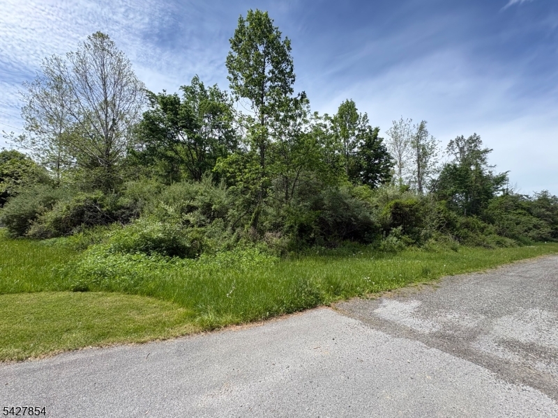 1 Bridge Road Columbia, NJ 07832 - Photo 15 of 16