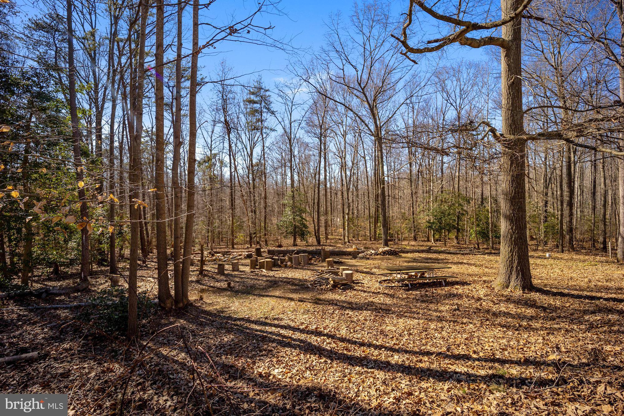 4845 Young Road Waldorf, MD 20601 - Photo 50 of 55