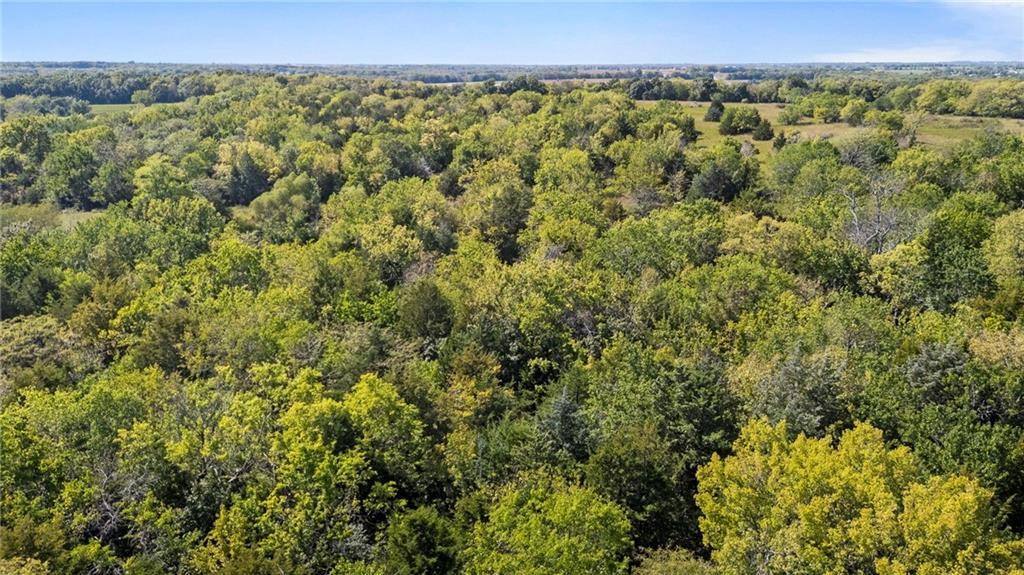 South Kill Creek Road Spring Hill, KS 66083 - Photo 13 of 36