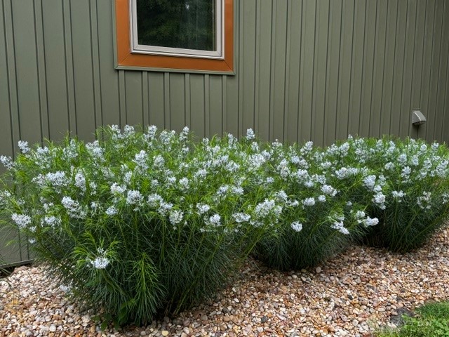 3161 Lincoln Road Waynesville, OH 45068 - Photo 10 of 46 Gallery Image 10