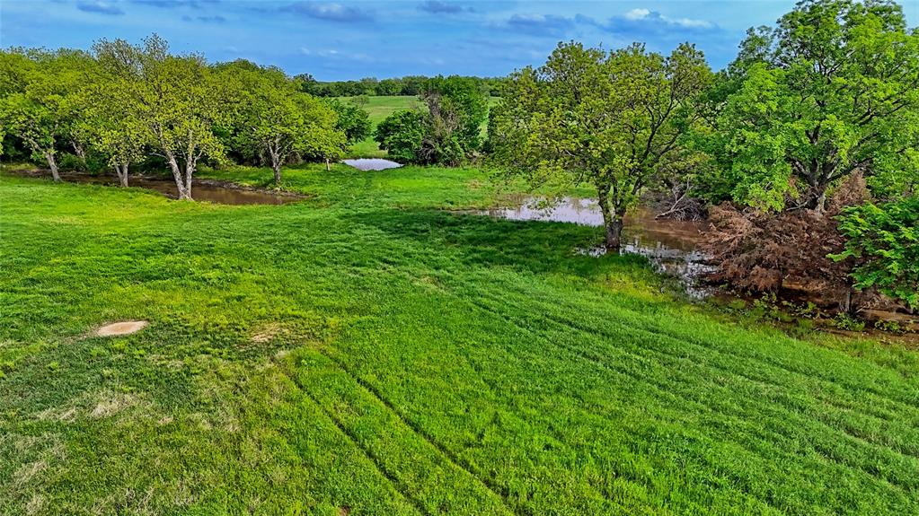 0 Longbranch Road Nocona, TX 76255 - Photo 7 of 21 Gallery Image 7