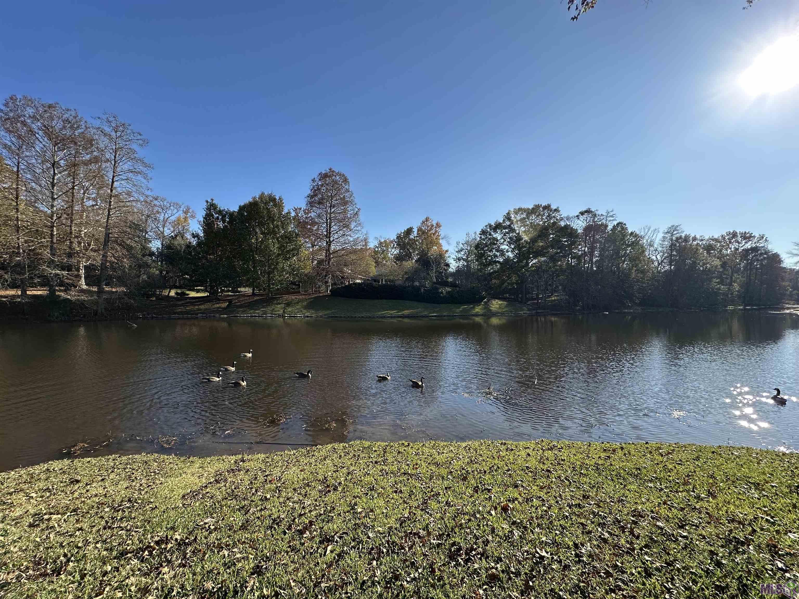 1635 Applewood Road Baton Rouge, LA 70808 - Photo 36 of 41 Gallery Image 36